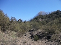 nte Fontane-01042012 113